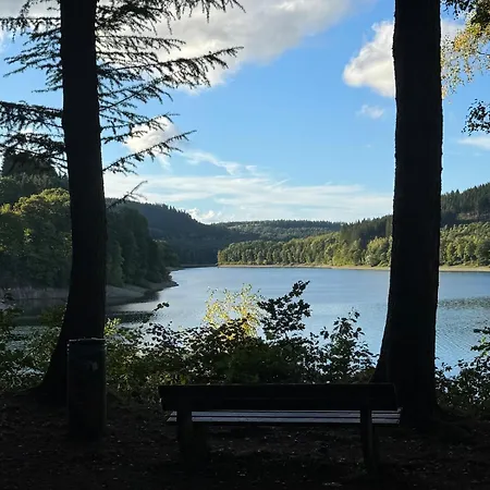 Sauerland Schwalbenhaus In Frenkhausen