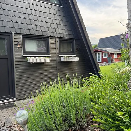 Sauerland Schwalbenhaus In Frenkhausen Holiday home