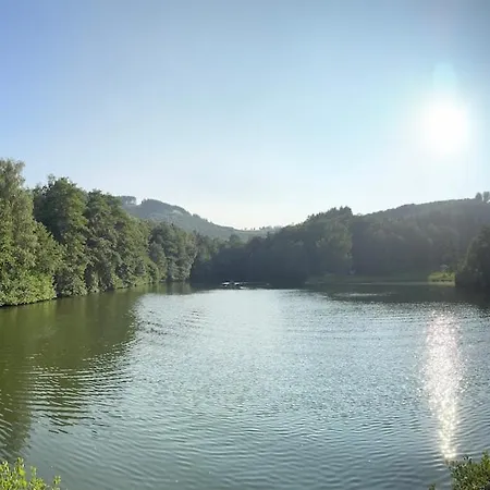 Holiday home Sauerland Schwalbenhaus In Frenkhausen Meschede