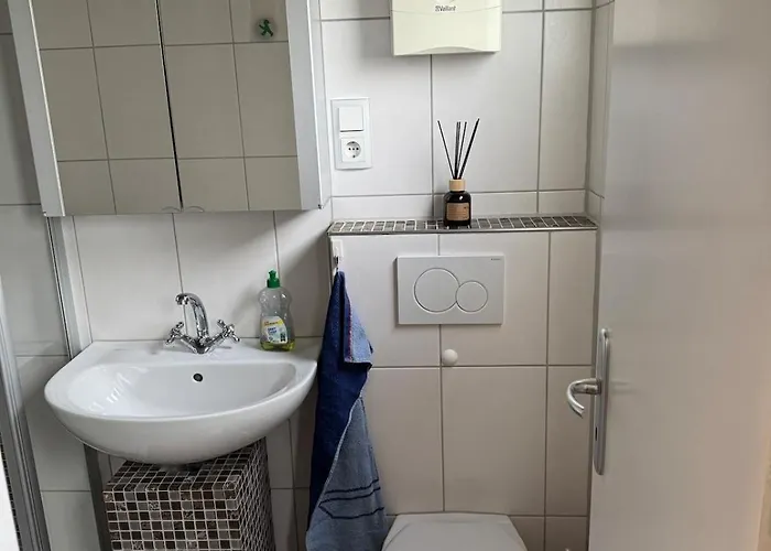 Sauerland Schwalbenhaus In Frenkhausen 梅舍德