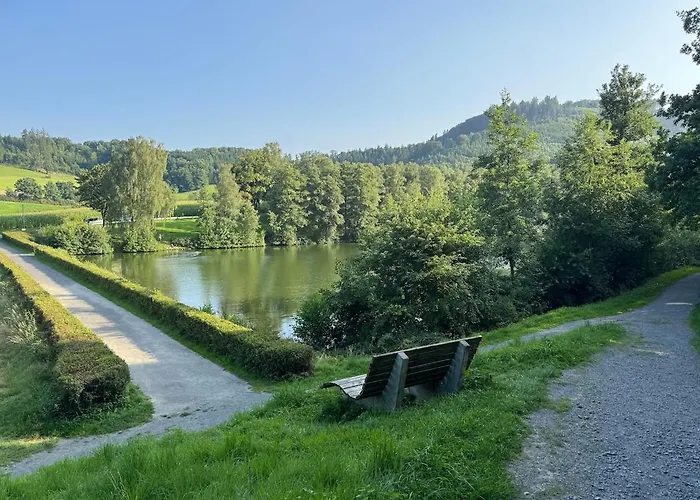 Sauerland Schwalbenhaus In Frenkhausen 度假居 梅舍德