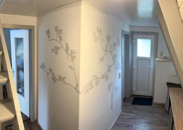 Sauerland Schwalbenhaus In Frenkhausen 梅舍德