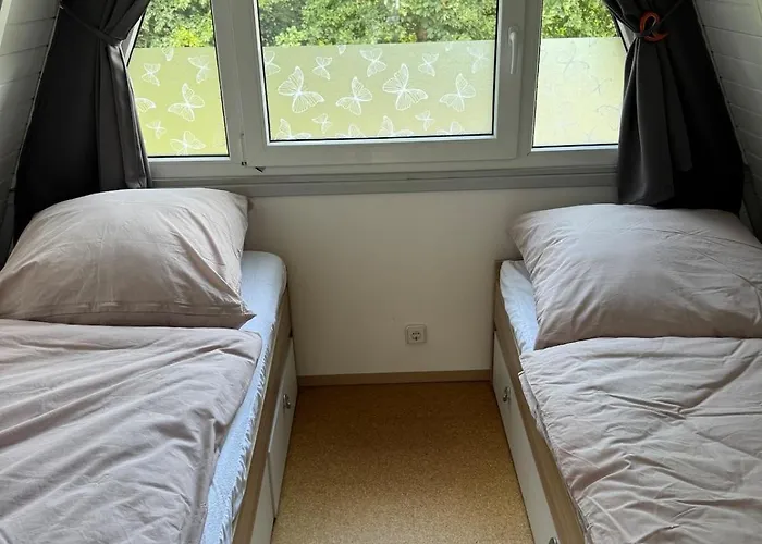 Sauerland Schwalbenhaus In Frenkhausen 梅舍德