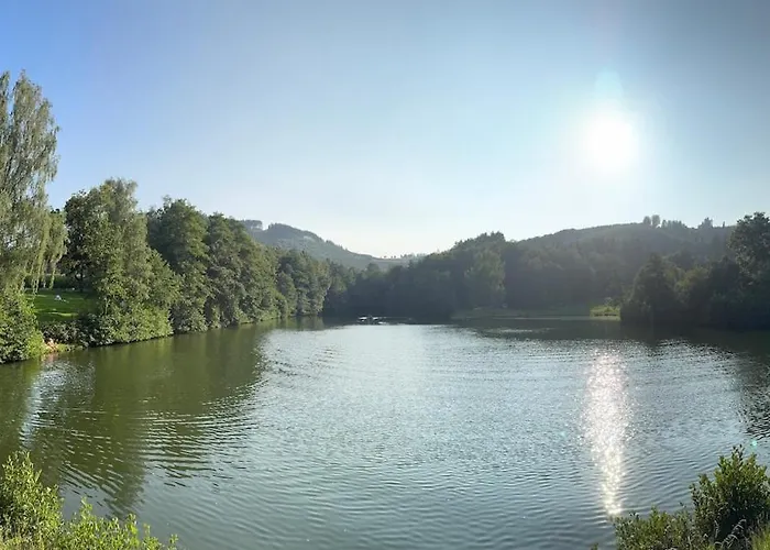 度假居 Sauerland Schwalbenhaus In Frenkhausen 梅舍德