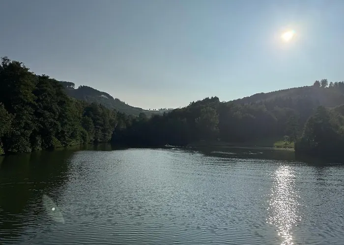度假居 Sauerland Schwalbenhaus In Frenkhausen 梅舍德